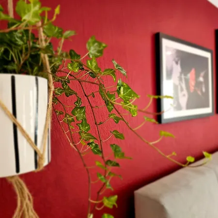 Kolibri - Design Maisonette - Nintendo Switch, Streaming, Bikestore, E-wallbox Apartamento *