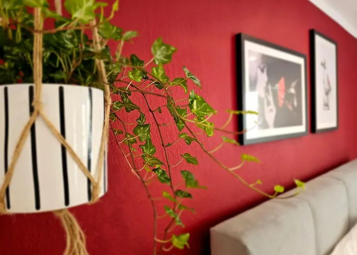 Kolibri - Design Maisonette - Nintendo Switch, Streaming, Bikestore, E-wallbox Apartamento *